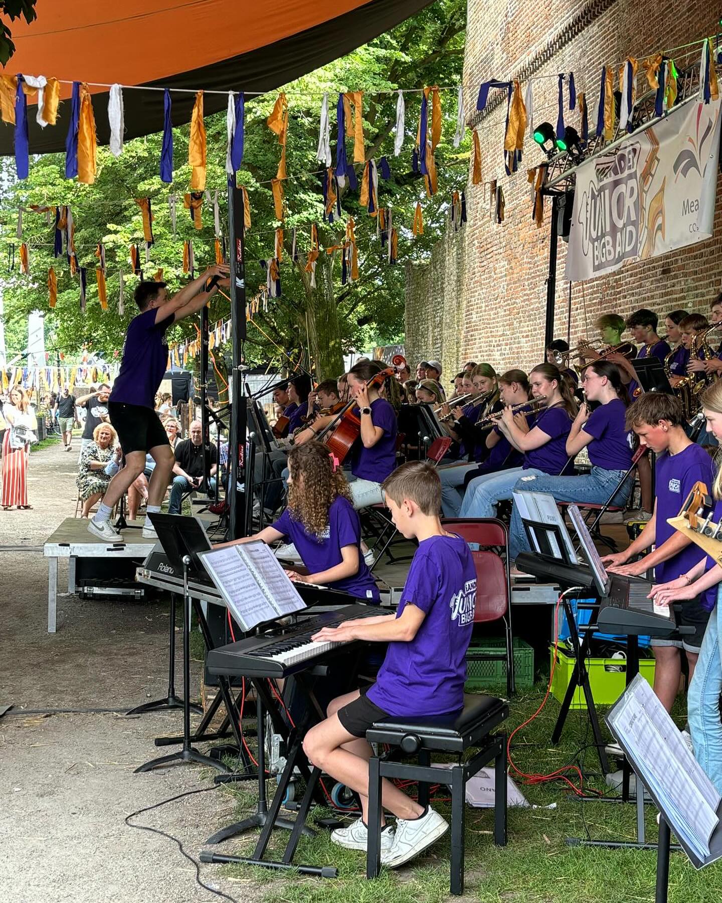 Festival Nemia